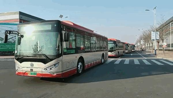 北方明珠,探寻天津的独特魅力🌟