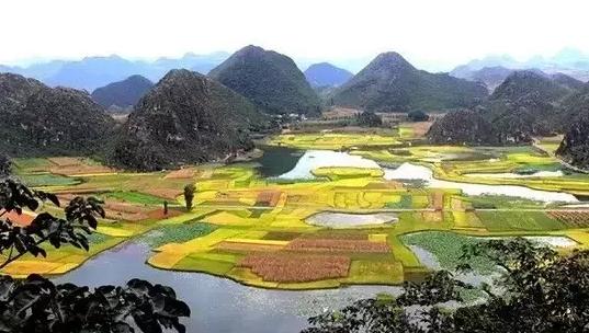 云南,致敬来宾,共襄盛举